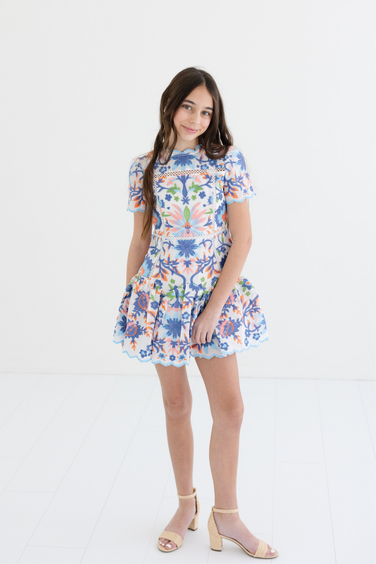 Joanna Embroidered Mini Dress