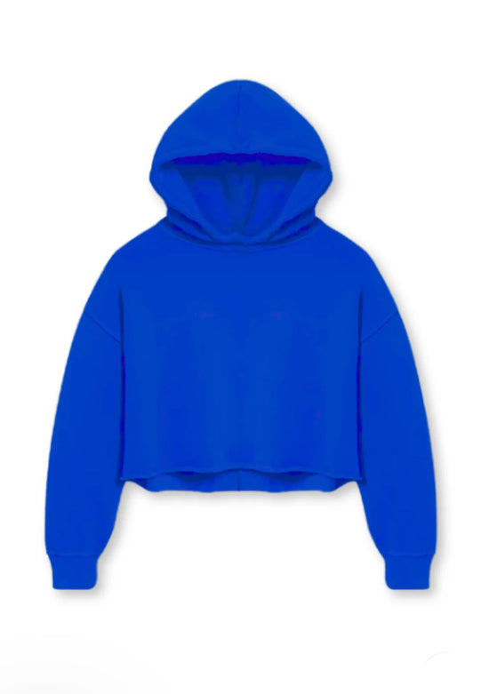 Shane Cropped Pullover Hoodie