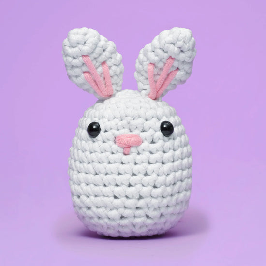 Beginner Crochet Kit