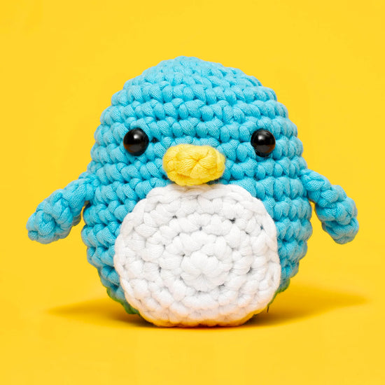 Beginner Crochet Kit