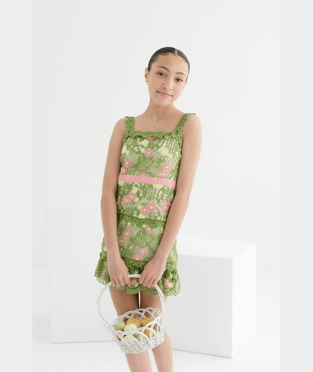 Marlo Tween Lana Embroidered Mini Dress in multi - CAKEWISH