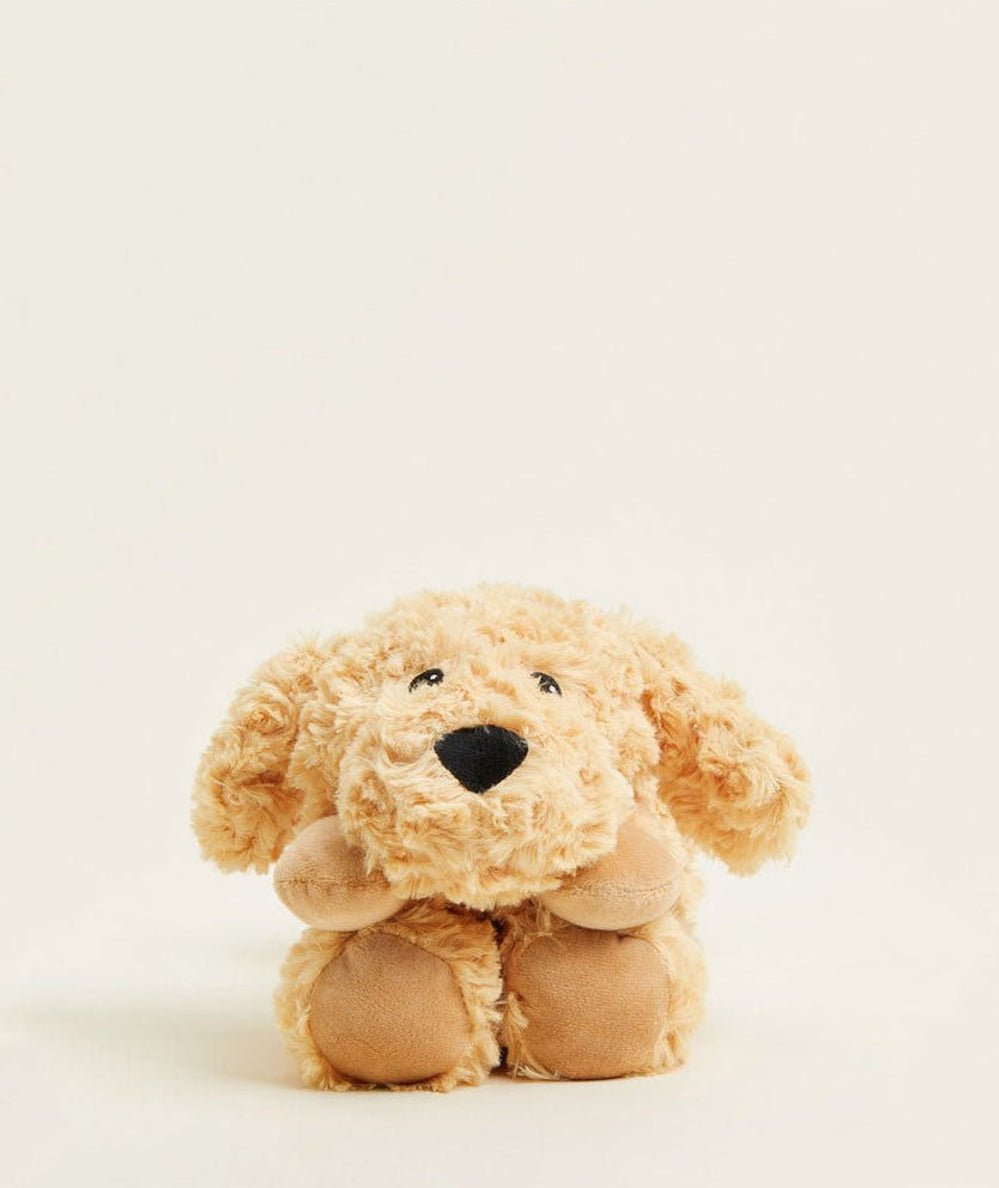Front view of the Warmies Golden Dog wrap with sweet puppy face and paws - CAKEWISH.